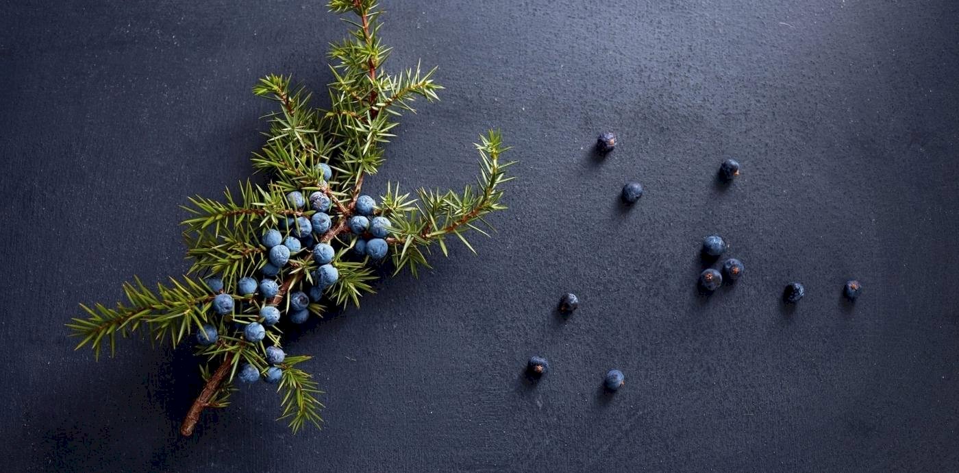 Craft Gin &ndash; Un gin autentico e differente