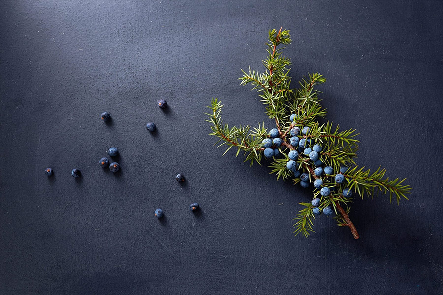 Craft Gin